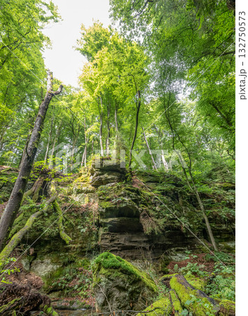 Beautiful green forest Hiking path with Sandstone chalk rock formations in Berdorf Mullerthal Luxembourg 132750573