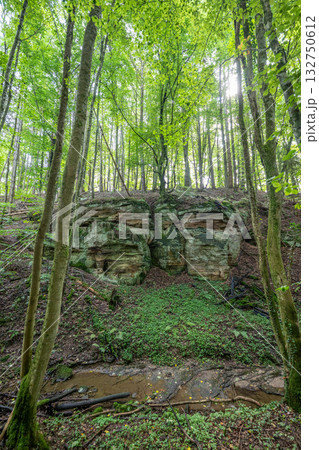 Beautiful green forest Hiking path with Sandstone chalk rock formations in Berdorf Mullerthal Luxembourg Beautiful green forest Hiking path with Sandstone chalk rock formations in Berdorf Mullerthal Luxembourg 132750612