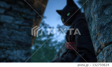 Stealthy Black Ninja Cat in Twilight Stealthy Black Ninja Cat in Twilight 132750624