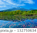 夏のいもり池と妙高山のシンメトリー 132750634