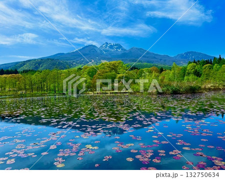 夏のいもり池と妙高山のシンメトリー 132750634