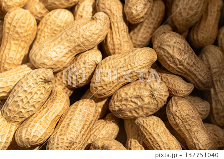 沢山の落花生 沢山の落花生 132751040