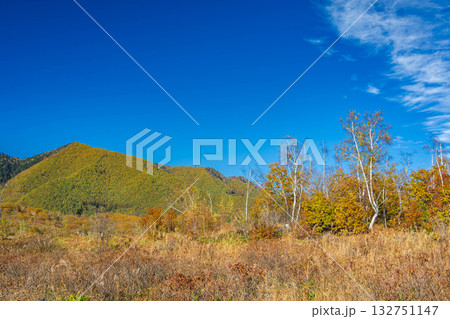 乗鞍BASE付近の紅葉　 132751147