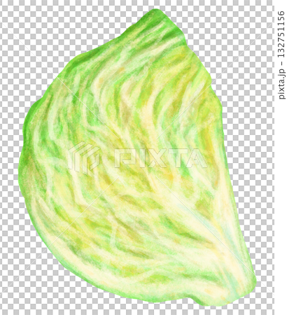 キャベツの断面のイラスト 132751156