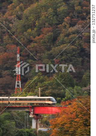 秋色に染まる夕刻の木曽路を駆け抜ける383系特急ワイドビューしなの号2_2025/11/2撮影 132751237