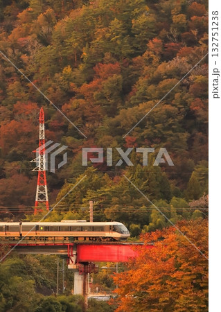 秋色に染まる夕刻の木曽路を駆け抜ける383系特急ワイドビューしなの号3_2025/11/2撮影 132751238
