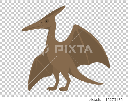 恐竜プテラノドンのイラスト 132751264