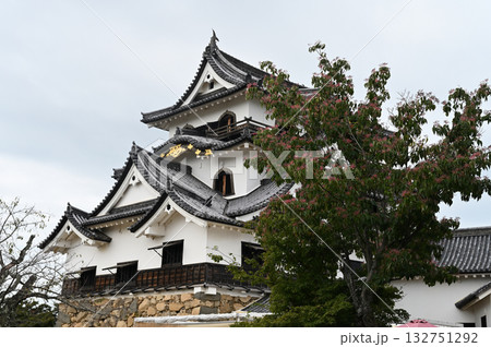 国宝彦根城 天守閣 国宝彦根城 天守閣 132751292