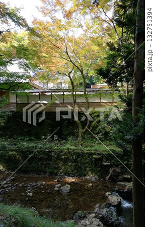 紅葉の名所鰐淵寺:色づき始めたもみじ 紅葉の名所鰐淵寺:色づき始めたもみじ 132751394