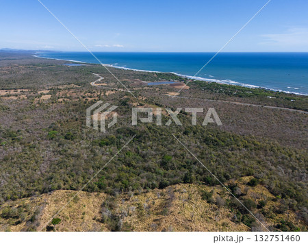 Coastal landscape with forest and ocean view in bright daylight near small town 132751460