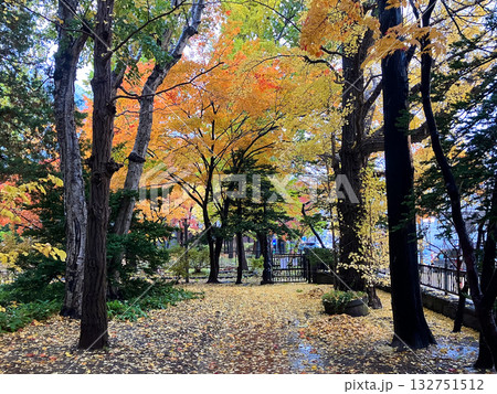 紅葉の美しい永山記念公園 132751512