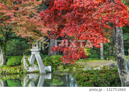 兼六園の紅葉 ことじ灯籠（石川） 132751660