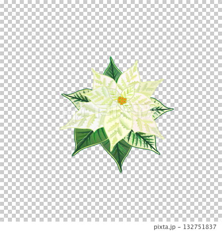 ポインセチアのシンプルなデザイン ポインセチアのシンプルなデザイン 132751837