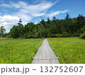 まっすぐな遊歩道 まっすぐな遊歩道 132752607