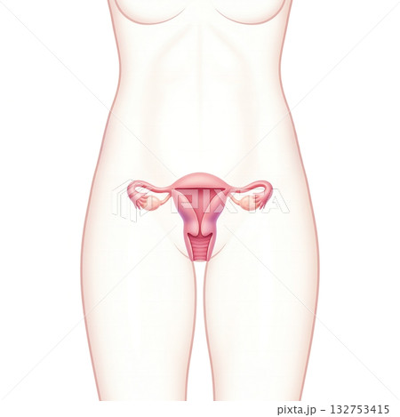 女性器 132753415