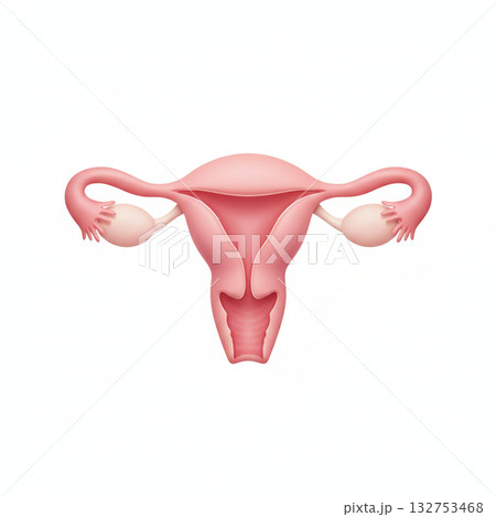 女性器 女性器 132753468