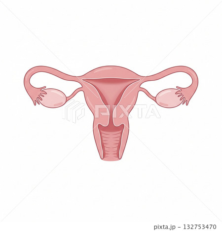 女性器 132753470