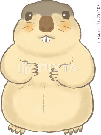 かわいいマーモットの手描き風イラスト かわいいマーモットの手描き風イラスト 132753507