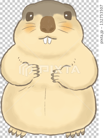 Cute marmot hand-drawn illustration Cute marmot hand-drawn illustration 132753507