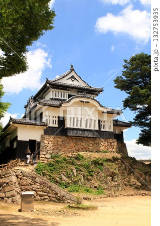 備中松山城 備中松山城 132753935