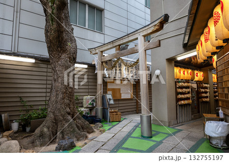 大阪/少彦名神社(2024年11月撮影) 大阪/少彦名神社(2024年11月撮影) 132755197