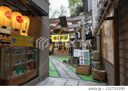 大阪／少彦名神社（2024年11月撮影） 132755200
