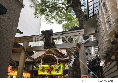 大阪/少彦名神社(2024年11月撮影) 大阪/少彦名神社(2024年11月撮影) 132755201