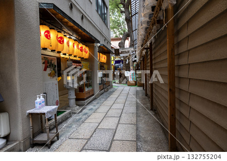 大阪／少彦名神社（2024年11月撮影） 132755204