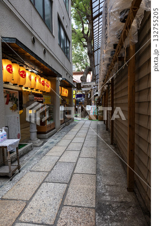 大阪/少彦名神社(2024年11月撮影) 大阪/少彦名神社(2024年11月撮影) 132755205