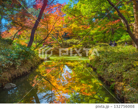 川面に紅葉が美しく反射する秋の日本庭園の風景 (東京都、文京区、六義園) 川面に紅葉が美しく反射する秋の日本庭園の風景 (東京都、文京区、六義園) 132756008