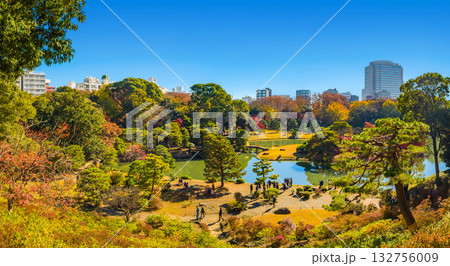 高台から見下ろす秋の日本庭園と都市のビル群のパノラマ風景 (東京都、文京区、六義園) 132756009