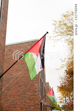 Palestinian flags on brick buildings displaying national colors against cloudy sky 132756094