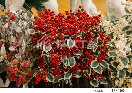 Vibrant red and white berries with green foliage display 132756095