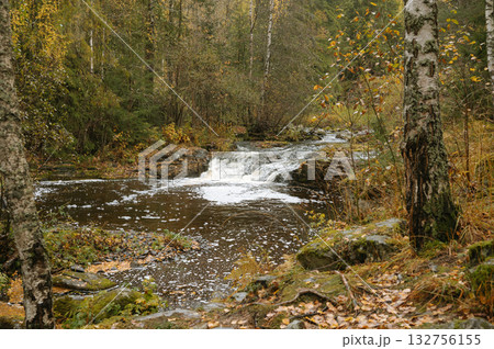 Autumn creek in forest with gentle waterfall and birch trees surrounding tranquil scene Autumn creek in forest with gentle waterfall and birch trees surrounding tranquil scene 132756155