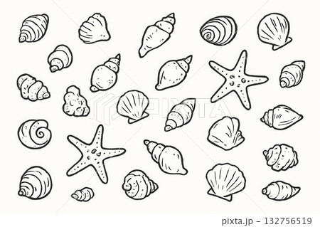 Marine life seashells and starfish black and white pattern, background Marine life seashells and starfish black and white pattern, background 132756519