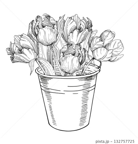 Bucket with the bouquet of tulips. Handmade ink vector illustration of tulip. For design of cards, cover, prints, product labels and fabric. 132757725