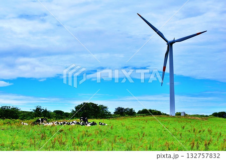 夏の北海道 オロロンラインにある風車と牧場風景 夏の北海道 オロロンラインにある風車と牧場風景 132757832