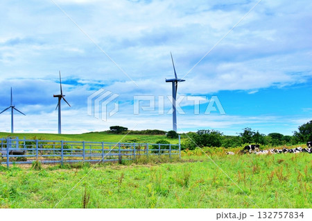 夏の北海道　オロロンラインにある風車と牧場風景 132757834