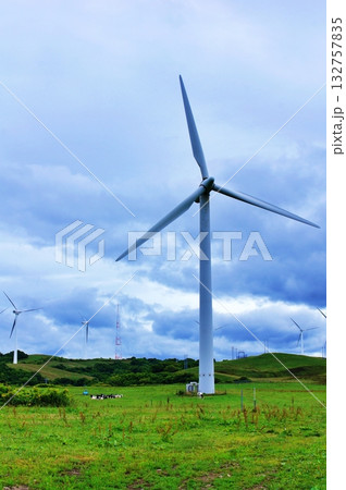 夏の北海道　オロロンラインにある風車と牧場風景 132757835