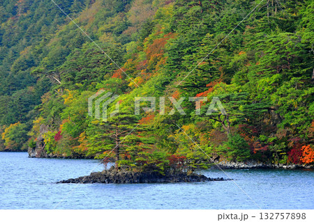 青森県 紅葉の十和田湖 中山半島 西湖 茱萸島の松 青森県 紅葉の十和田湖 中山半島 西湖 茱萸島の松 132757898