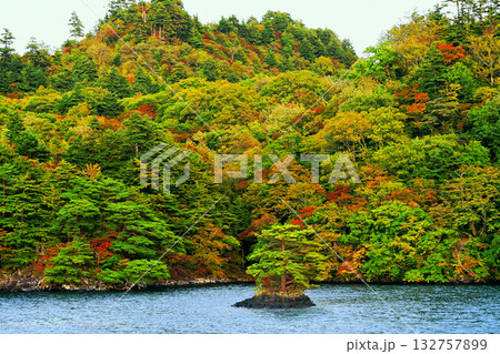 青森県 紅葉の十和田湖 中山半島 西湖 茱萸島の松 青森県 紅葉の十和田湖 中山半島 西湖 茱萸島の松 132757899