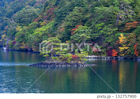 青森県 紅葉の十和田湖 中山半島 西湖 茱萸島の松 青森県 紅葉の十和田湖 中山半島 西湖 茱萸島の松 132757900
