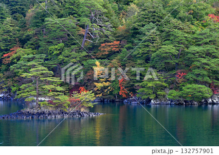 青森県　紅葉の十和田湖　中山半島　西湖　茱萸島の松 132757901