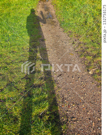 Human shadow on rural path in sunlight, long silhouette on grass and gravel trail in autumn Human shadow on rural path in sunlight, long silhouette on grass and gravel trail in autumn 132758175