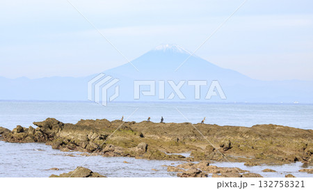 和田長浜の秋 和田長浜の秋 132758321