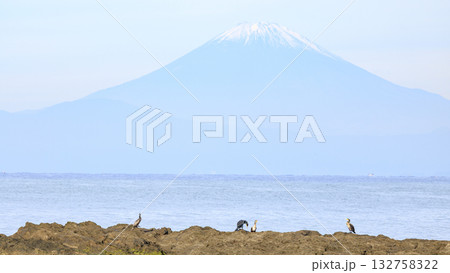 和田長浜の秋 132758322