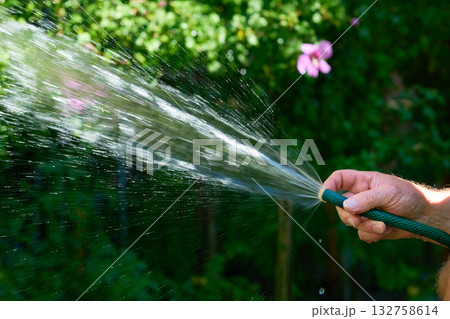 A stream of water from a hose. Watering plants in the summer heat A stream of water from a hose. Watering plants in the summer heat 132758614