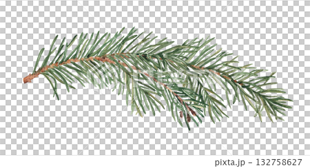 Watercolor Fir Branch. Realistic Hand painted illustration of Winter forest plant with green needles on white background. Pine or Spruce Twig For Christmas and New Year design, prints or decorations. 132758627