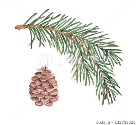 Fir Branch and Pine cone set. Watercolor Hand painted illustration of Winter forest plant with green needles on white background. Pine or Spruce Twig For Christmas design, festive decor, packaging Fir Branch and Pine cone set. Watercolor Hand painted illustration of Winter forest plant with green needles on white background. Pine or Spruce Twig For Christmas design, festive decor, packaging 132758628
