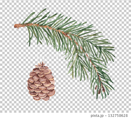 Fir Branch and Pine cone set. Watercolor Hand painted illustration of Winter forest plant with green needles on white background. Pine or Spruce Twig For Christmas design, festive decor, packaging Fir Branch and Pine cone set. Watercolor Hand painted illustration of Winter forest plant with green needles on white background. Pine or Spruce Twig For Christmas design, festive decor, packaging 132758628